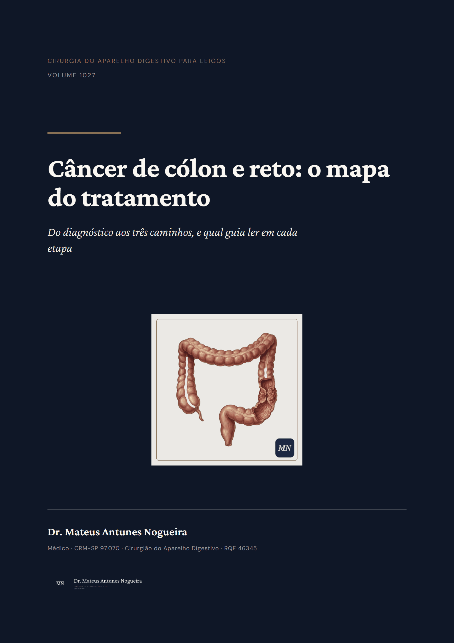 Capa do livro Câncer de cólon e reto: o mapa do tratamento
