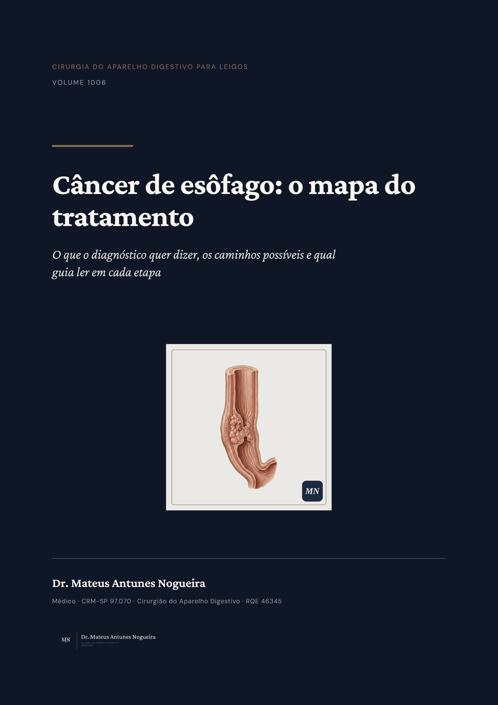 Capa do livro Câncer de esôfago: o mapa do tratamento