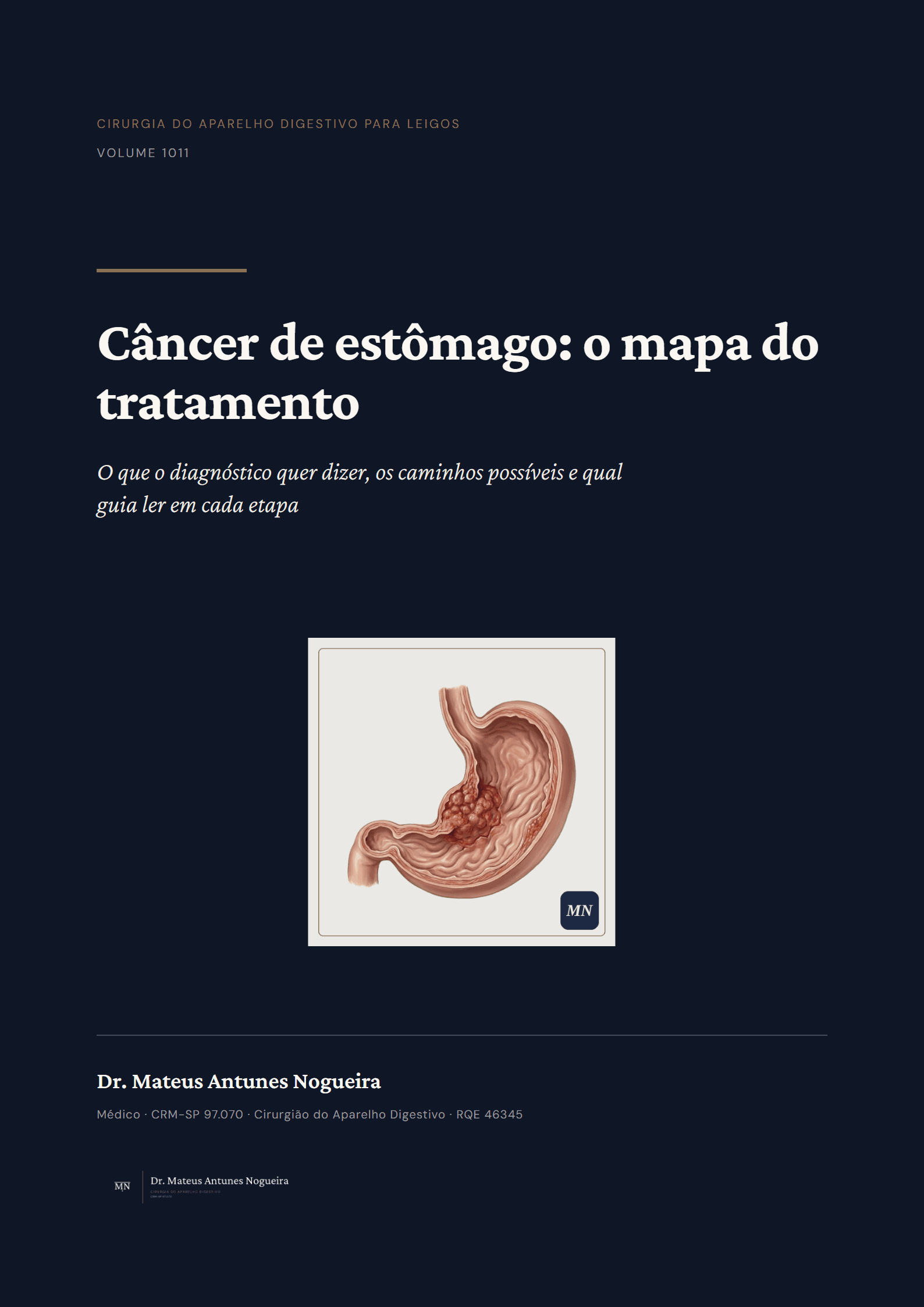 Capa do livro Câncer de estômago: o mapa do tratamento