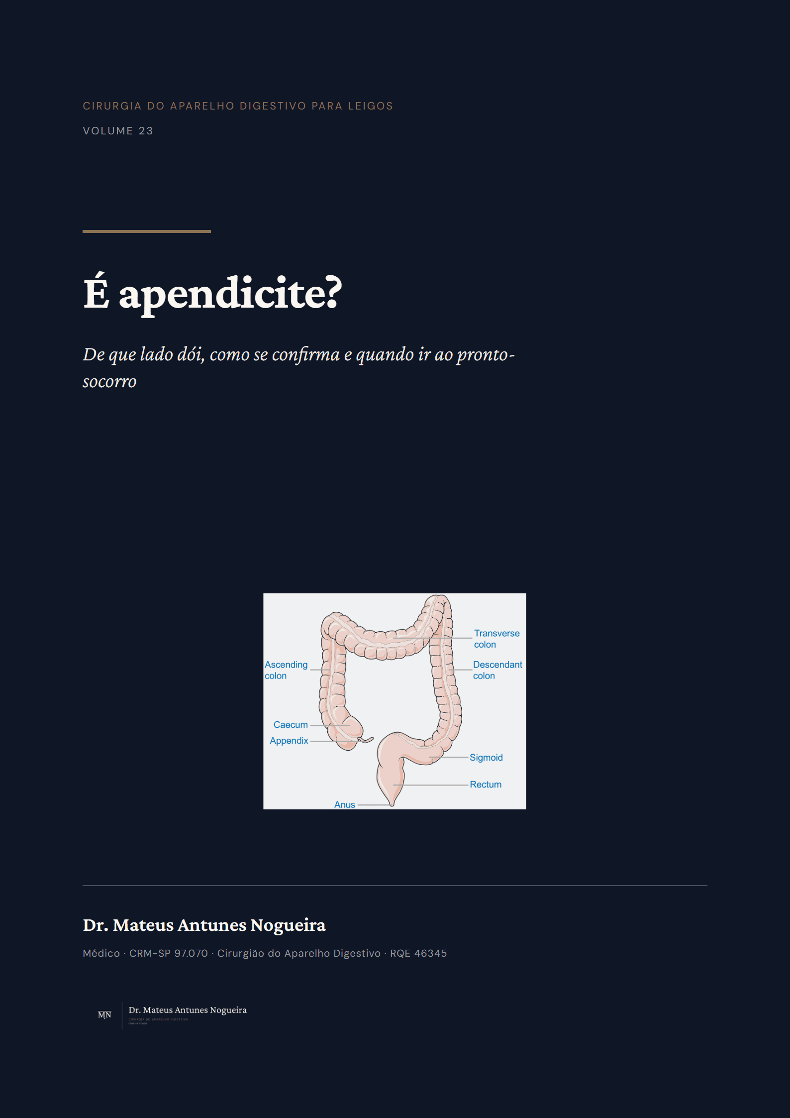 Capa do livro É apendicite?