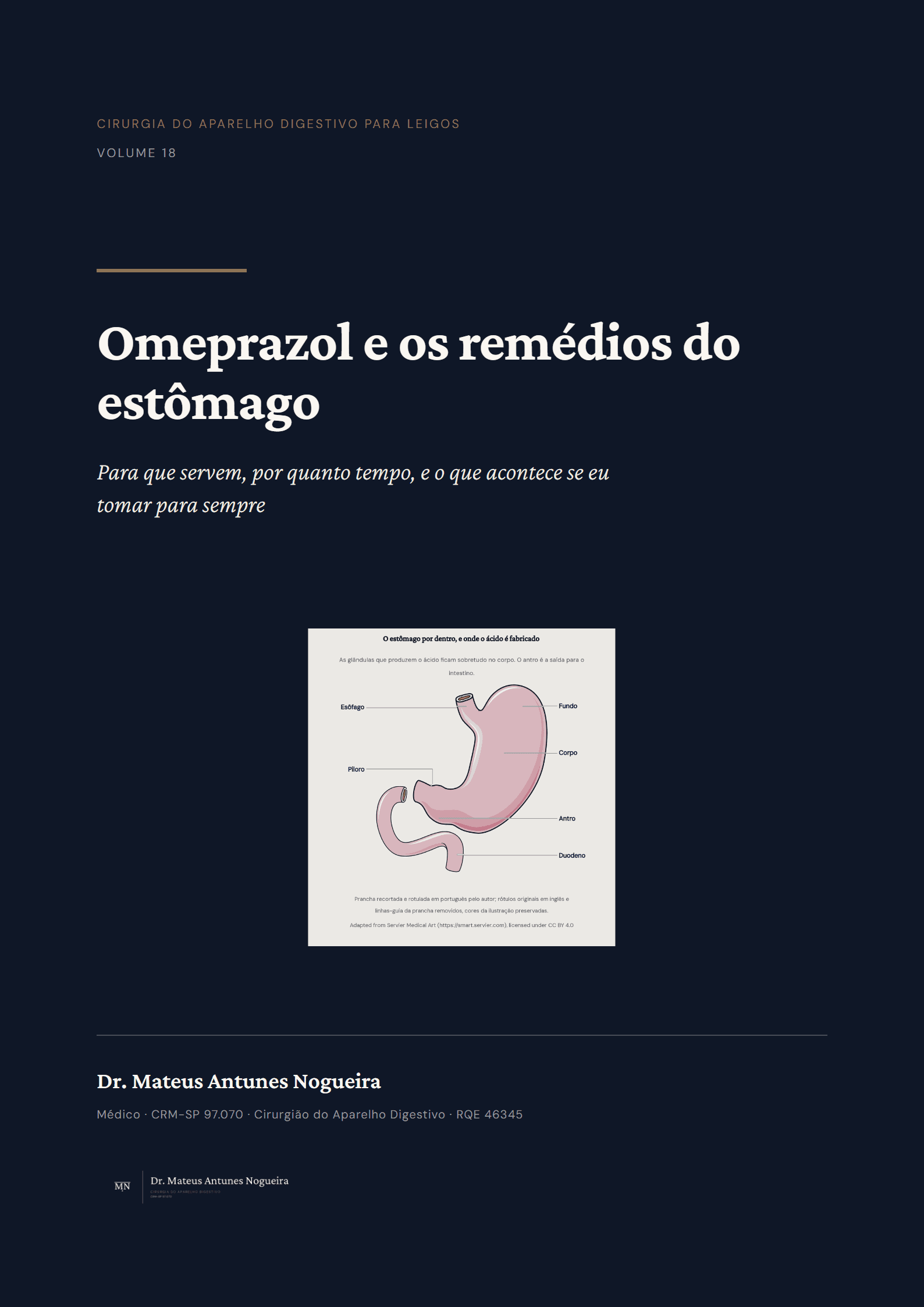 Capa do livro Omeprazol e os remédios do estômago